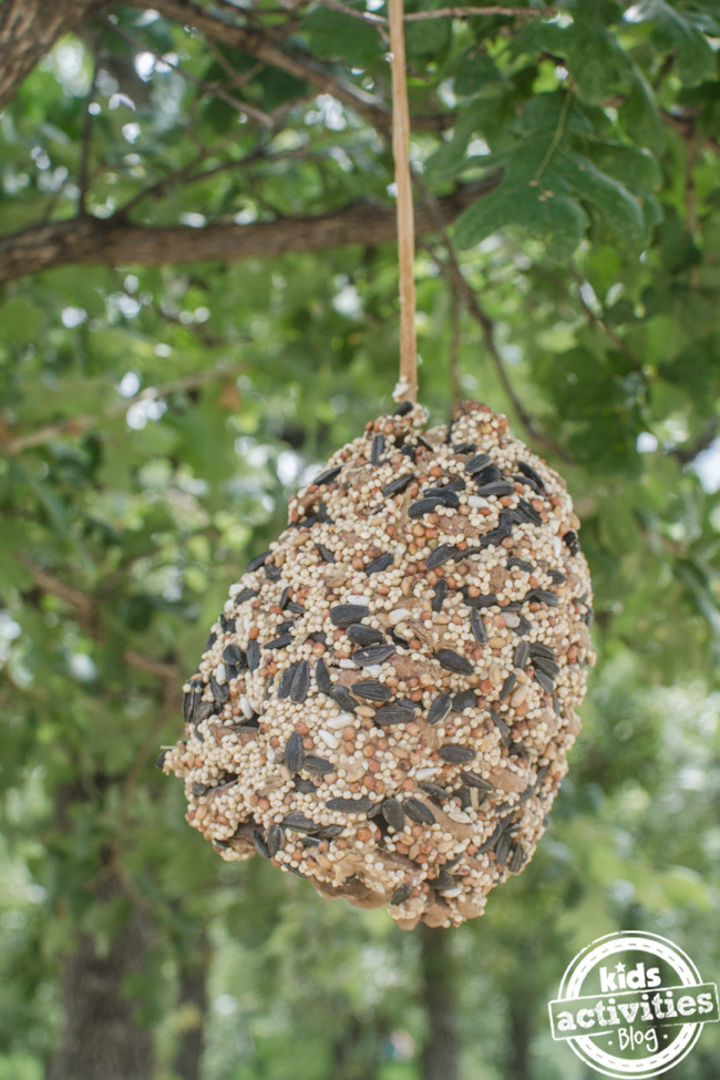 mangeoire à oiseaux en pomme de pin suspendue faite de beurre de cacahuète, de pommes de pin et de graines pour oiseaux suspendue à une ficelle dans un arbre dans le jardin - Blog d'activités pour enfants