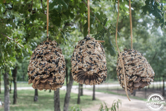 Artisanat de mangeoire à oiseaux en pomme de pin fini - 3 mangeoires à oiseaux au beurre d'arachide suspendues dans un arbre