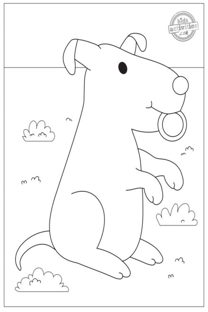 coloriages de chiots #1 - chiot mignon attrapant un fribee au parc version pdf illustrée sous forme imprimable