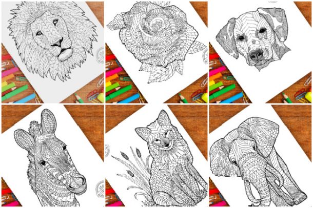 motifs zentangle du blog d'activités pour enfants - représentés en zentangle lion, rose, chien, zèbre, renard et éléphant avec des crayons de couleur et des marqueurs
