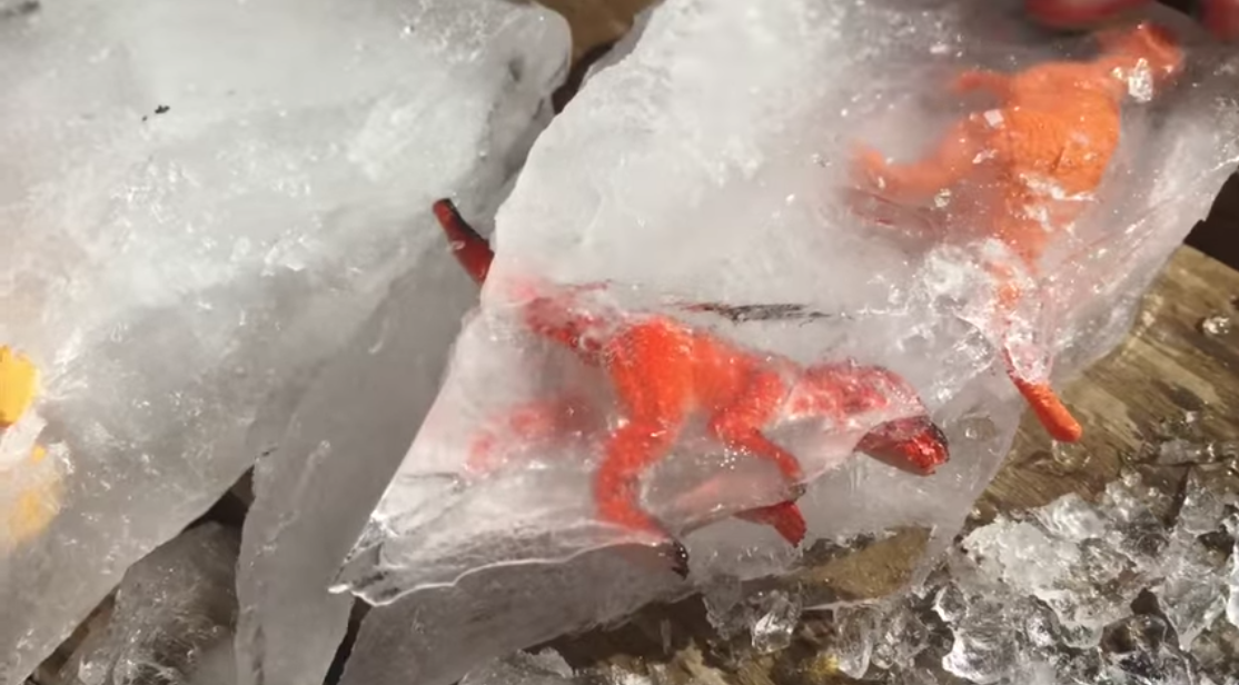 Vous pouvez congeler des jouets pour une activité amusante sur glace à la maison