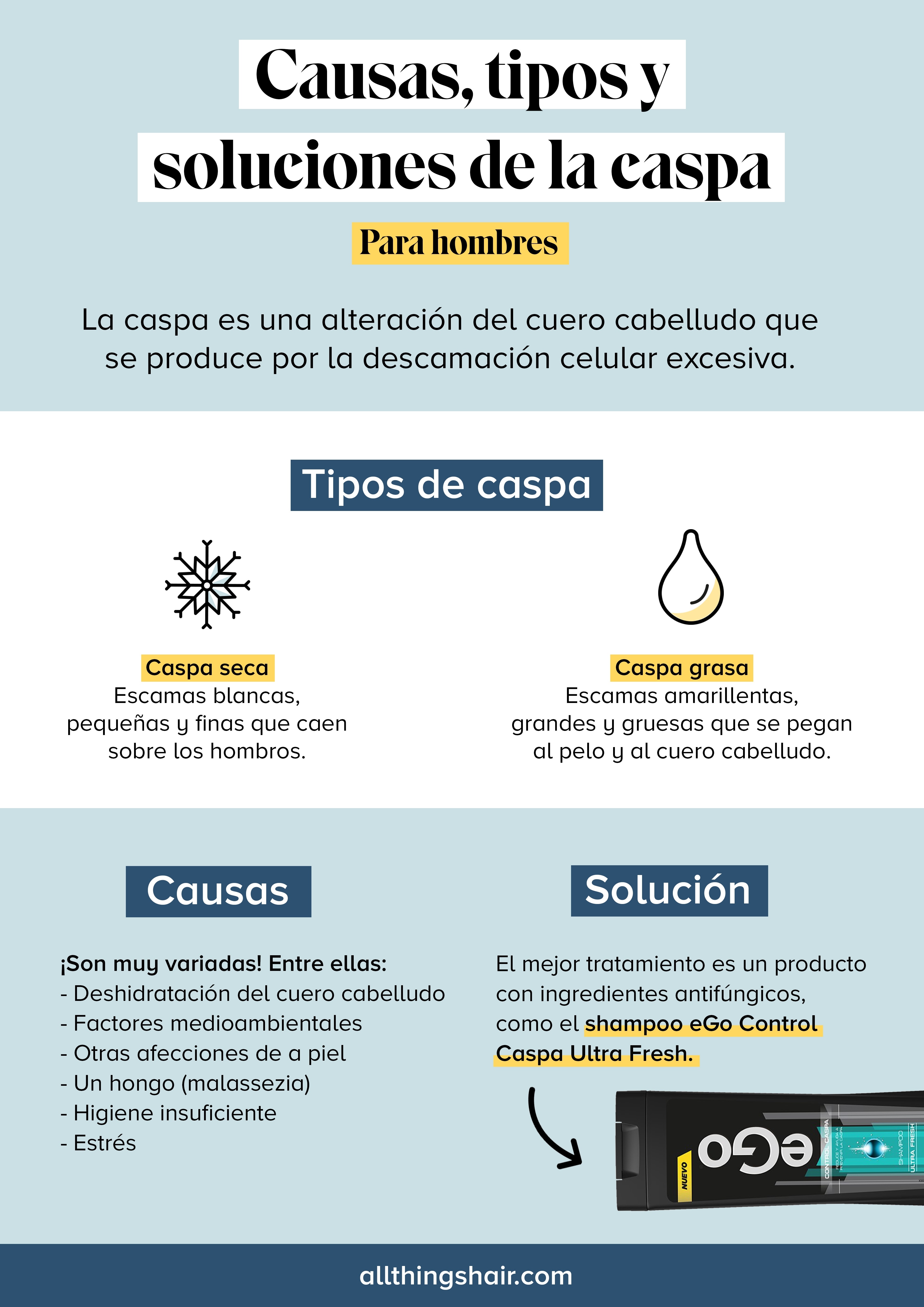 Infographie sur les types, les causes et le traitement des pellicules chez les hommes