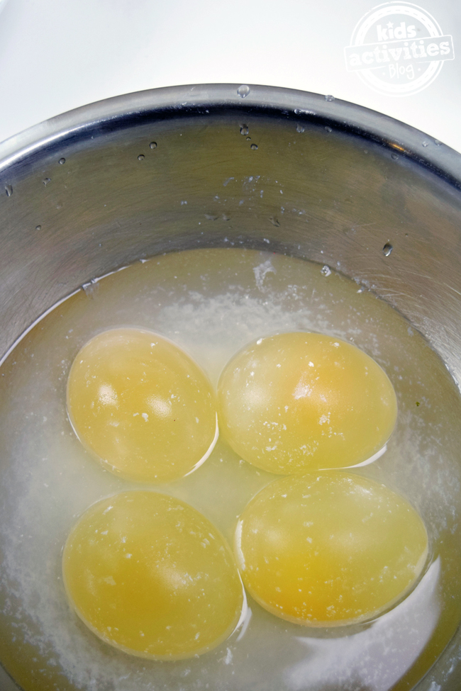 Expérience d'oeufs dans du vinaigre dans un bol - 4 oeufs montrés qui ressemblent à des jaunes, mais des oeufs vraiment nus