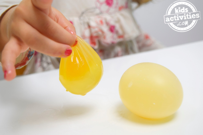 Reprendre l'expérience de l'œuf rebondissant - Blog d'activités pour enfants - Expérience de l'œuf dans le vinaigre