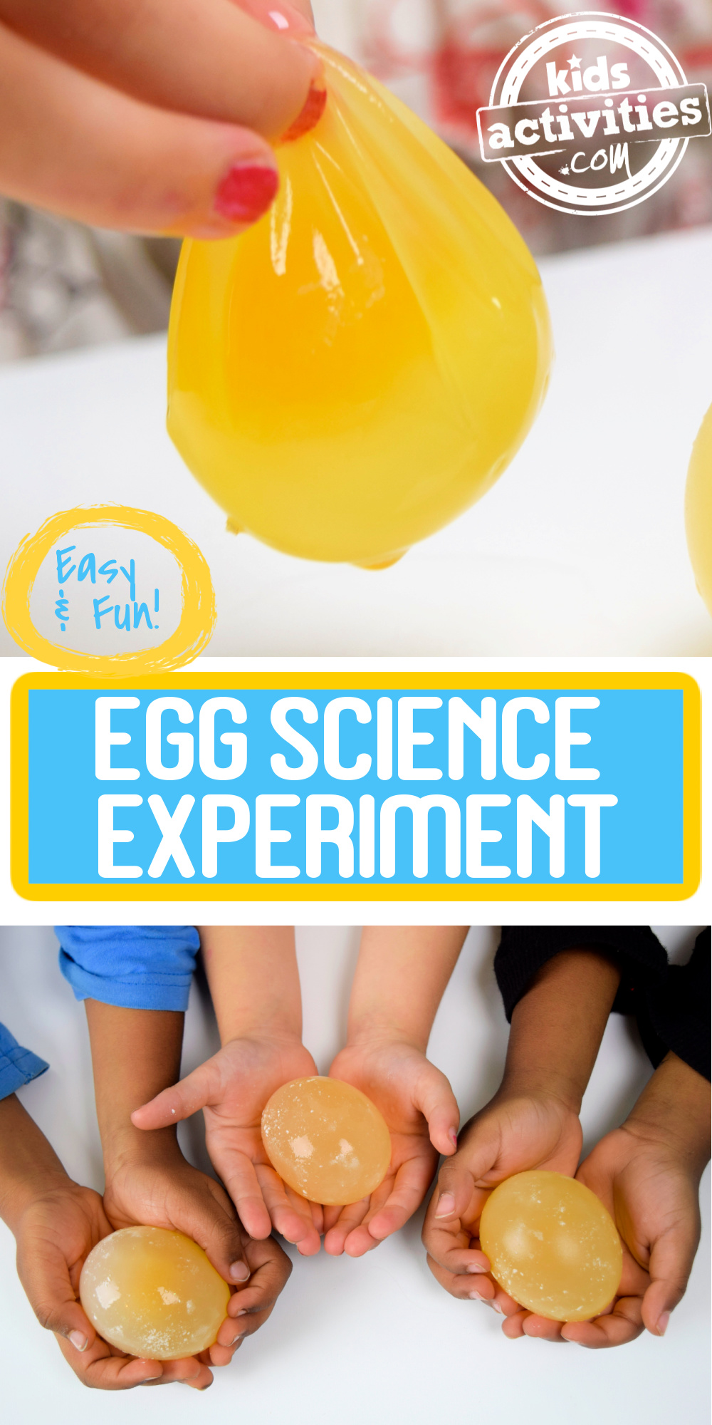 Expérience d'œufs nus pour les enfants - Blog d'activités pour enfants Pinterest