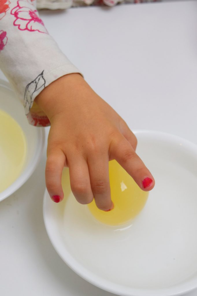 Faire tomber l'oeuf dans l'expérience du vinaigre - Blog d'activités pour enfants - main d'enfant ramassant l'oeuf gonflé de la solution de vinaigre