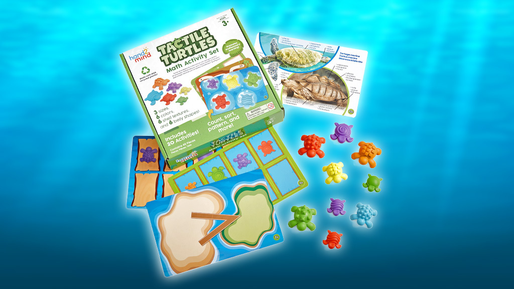 Les enfants d'âge préscolaire peuvent saisir l'occasion d'explorer les compétences en mathématiques avec des tortues tactiles