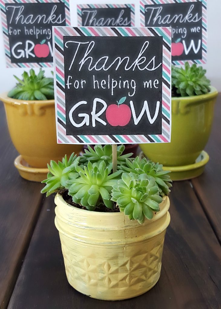 Cadeau d'appréciation de l'enseignant de succulentes avec étiquette-cadeau imprimable gratuite de Three Kids and a Fish