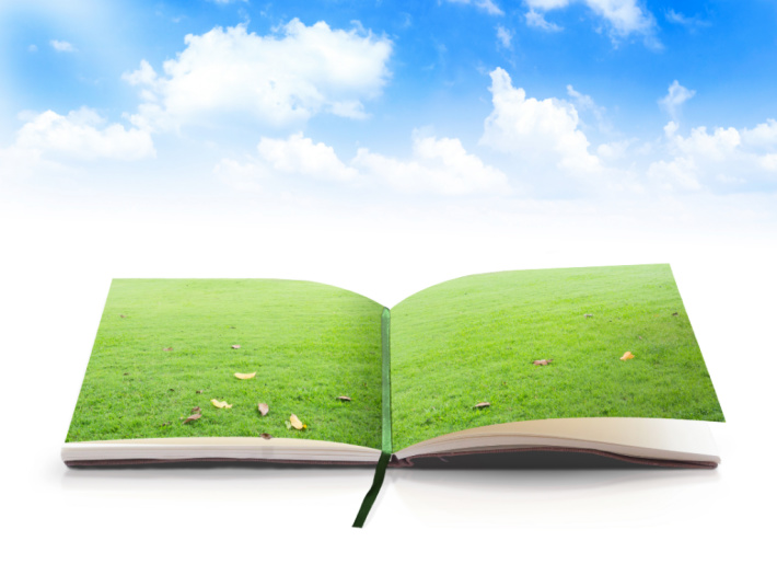Livres préférés du Jour de la Terre pour les enfants de la bibliothèque - Kids Activities Blog