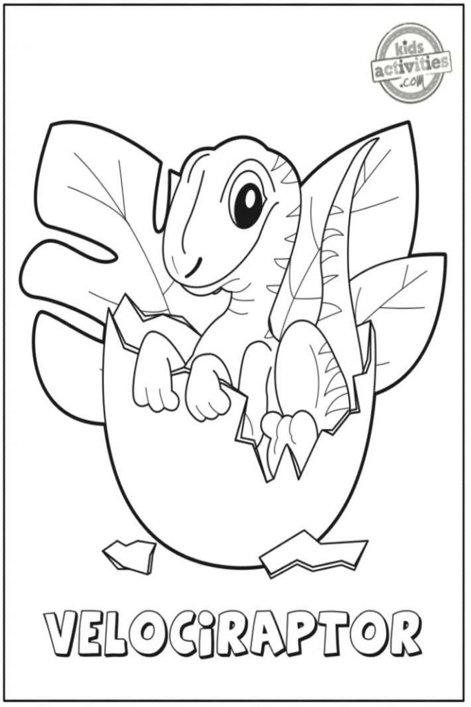 velociraptor coloriages imprimés pdf - Kids Activities Blog