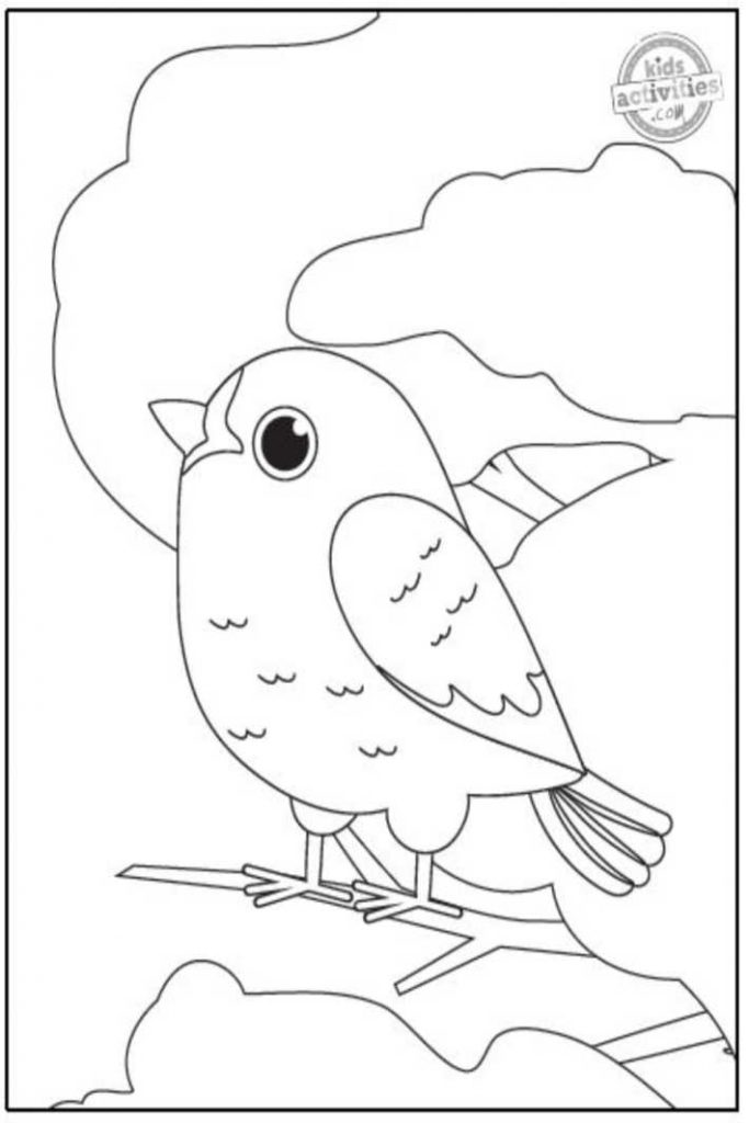 Coloriage oiseau à imprimer