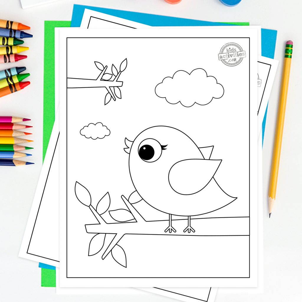 coloriage bébé oiseau