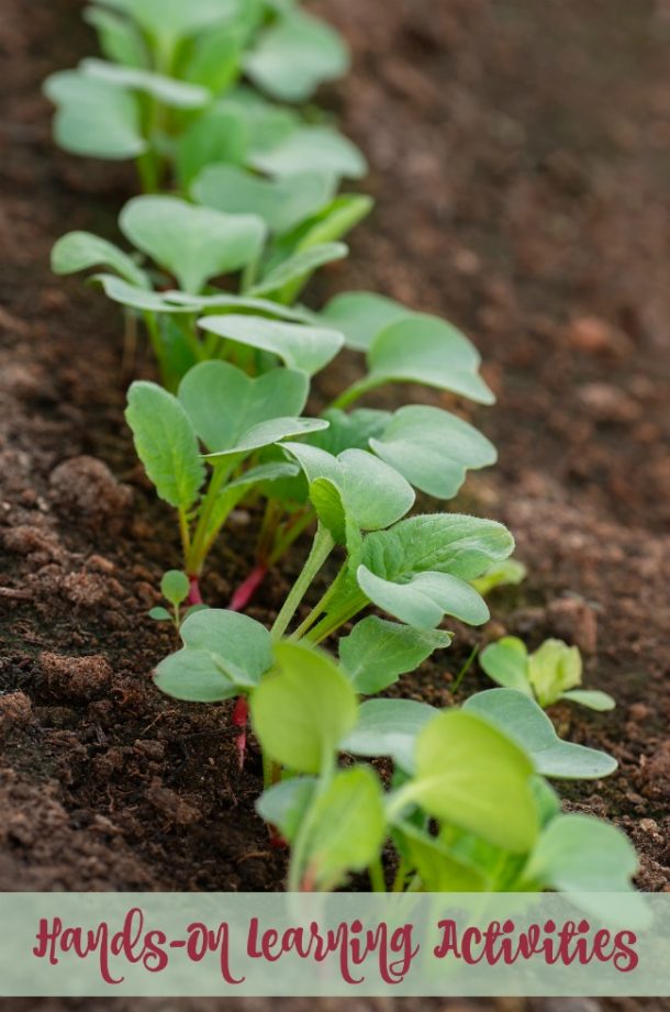 Activités d'apprentissage pratiques pour le printemps (texte) - bébés plantes dans le sol - Blog d'activités pour enfants