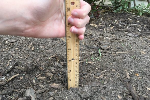 Règle mathématique de jardin pour l'activité mathématique de jardin pour les enfants - main tenant la règle à côté du sol - Blog d'activités pour enfants