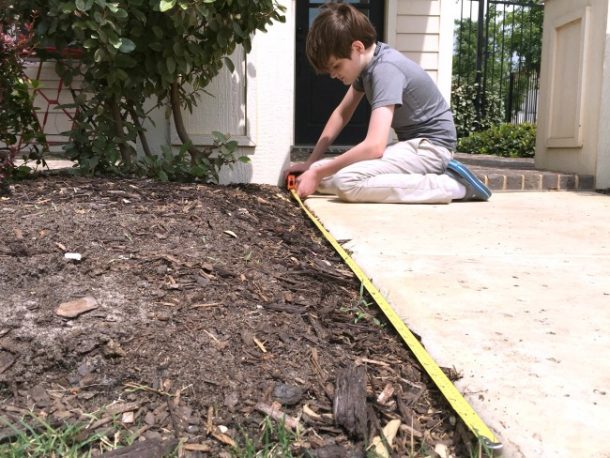 Mètre à ruban mathématique de jardin - enfant mesurant un segment de lit de fleur avec un ruban à mesurer