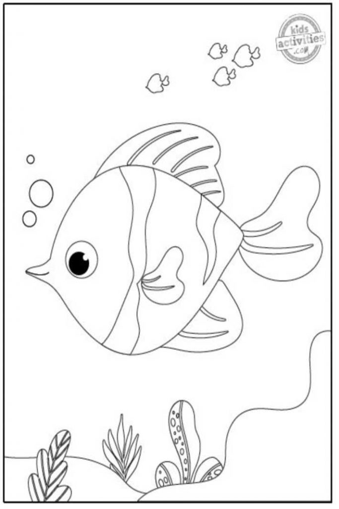 mignon, poisson, coloration, page