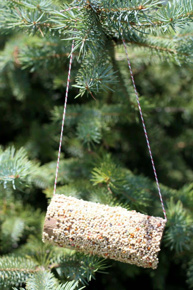 Artisanat pour enfants : Mangeoire à oiseaux DIY - Mangeoire à oiseaux maison finie montrée suspendue dans un arbre à partir de ficelle