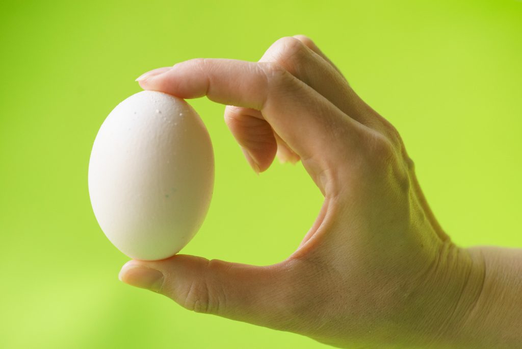Egg Experiment - Pouvez-vous presser une expérience de coquille d'œuf pour les enfants
