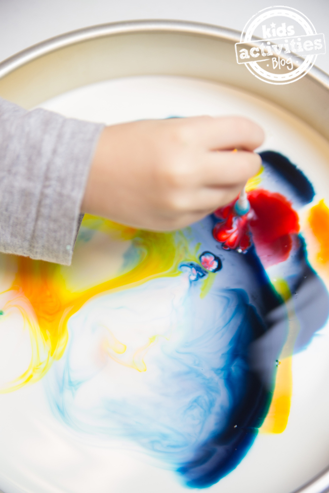Expérience de lait changeant de couleur pour les enfants - la main de l'enfant touche le lait avec la pointe q et la dispersion des couleurs