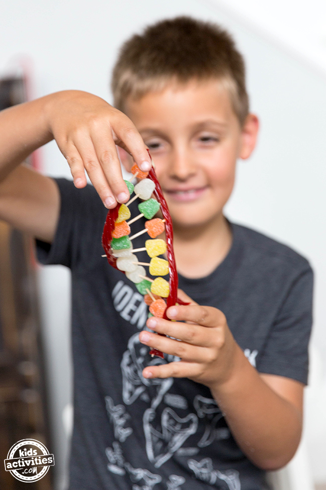Enfant tenant un modèle d'ADN de bonbons - Kids Activities Blog