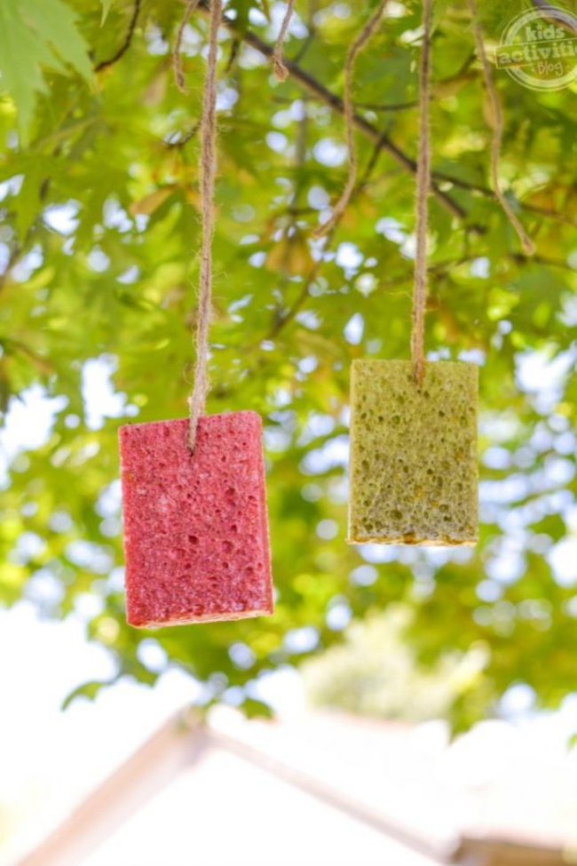 La mangeoire à papillons diy est l'artisanat parfait pour les enfants de tous âges. Deux mangeoires à papillons de type éponge suspendues à un arbre.