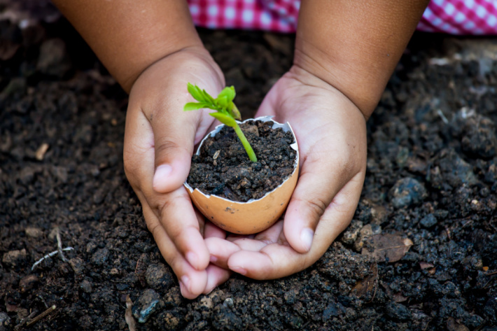 Plantez une graine avec vos enfants le jour de la Terre - Blog d'activités pour enfants
