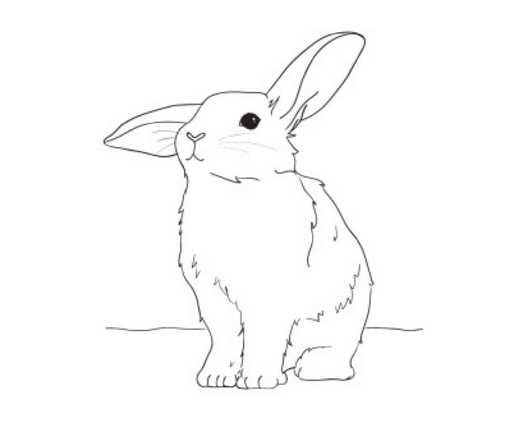 Adorables pages à colorier de Pâques - lapin réaliste avec des oreilles tombantes en noir et blanc