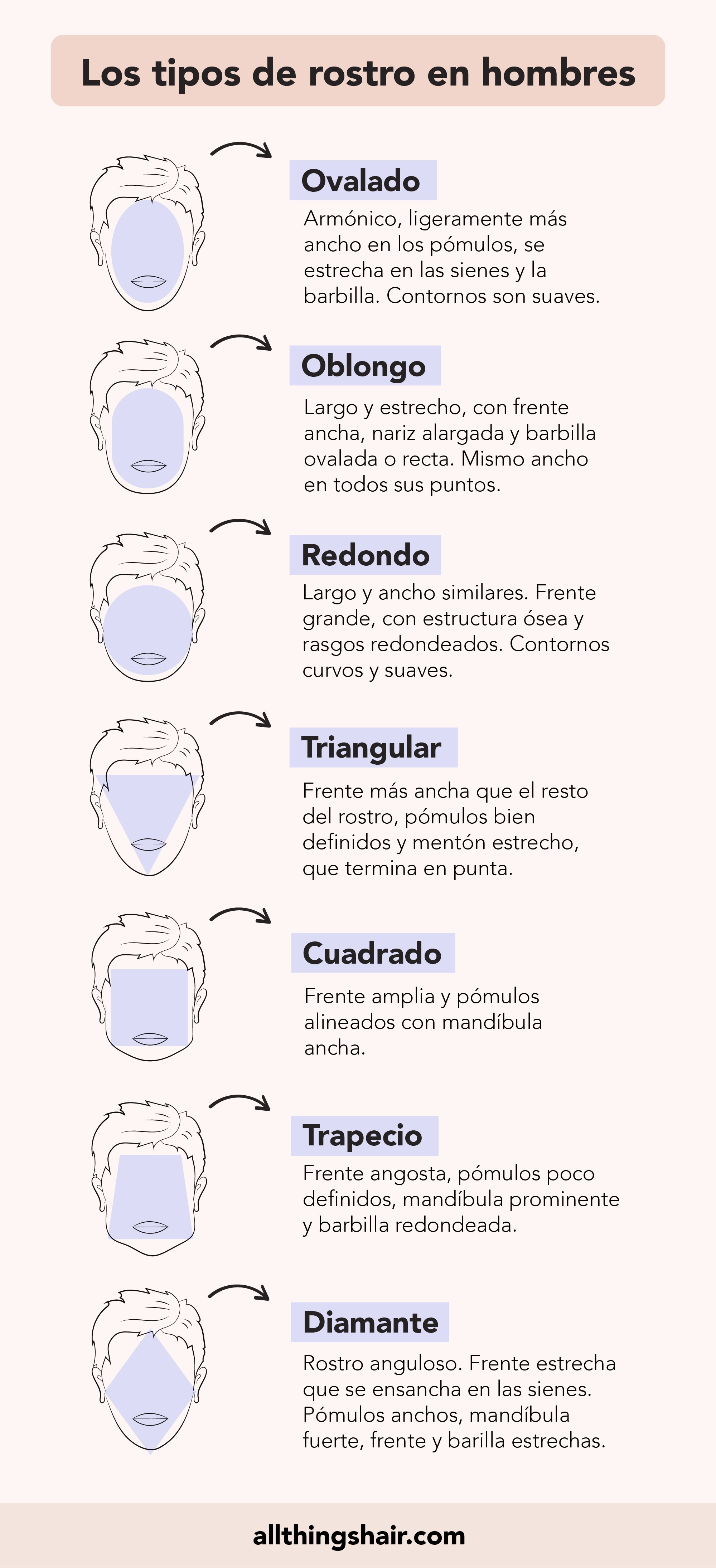 Infographie des types de visage pour les hommes