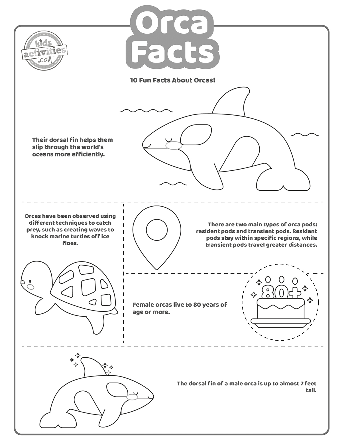 Capture d'écran d'un coloriage en noir et blanc avec des faits sur les orques
