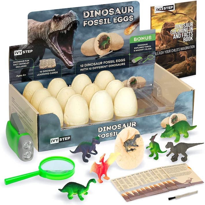 Oeufs fossiles de dinosaures dans une boîte avec le contenu du kit comprenant des petits dinosaures et une loupe