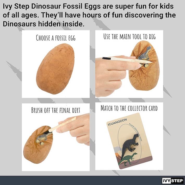 Étapes pour extraire un dinosaure à l'intérieur du kit d'œufs de dinosaure comprenant les cartes de collection