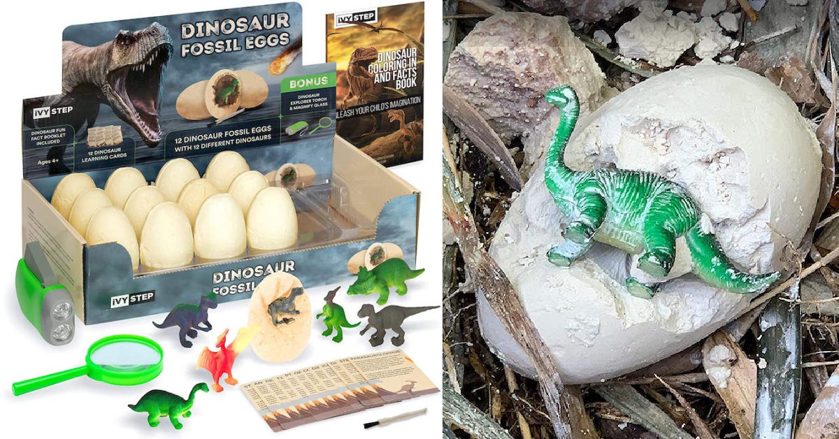 Ce kit d'excavation d'œufs de dinosaures est parfait pour le paléontologue en herbe de votre vie