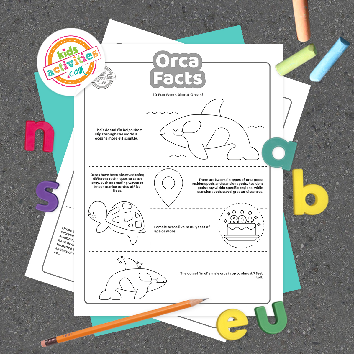 Pages à colorier en noir et blanc avec des faits sur les orques posées sur des feuilles bleu-vert et violettes avec des crayons assortis sur un fond gris foncé.