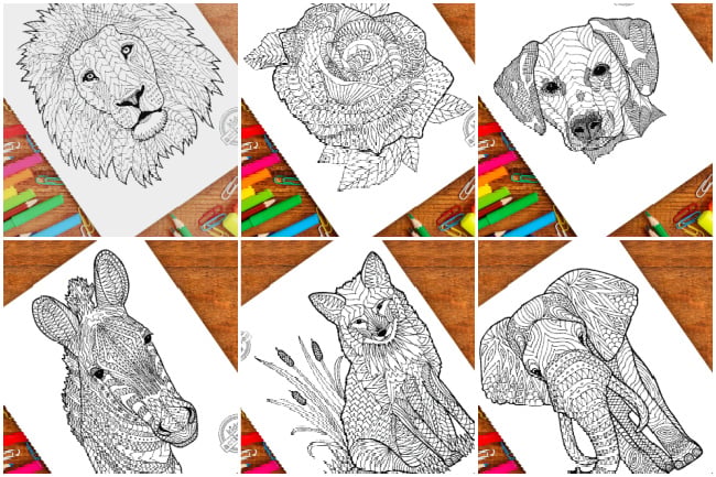 dessins zentangle du blog d'activités pour enfants - représentés par un lion, une rose, un chien, un zèbre, un renard et un éléphant zentangle avec des crayons de couleur et des marqueurs