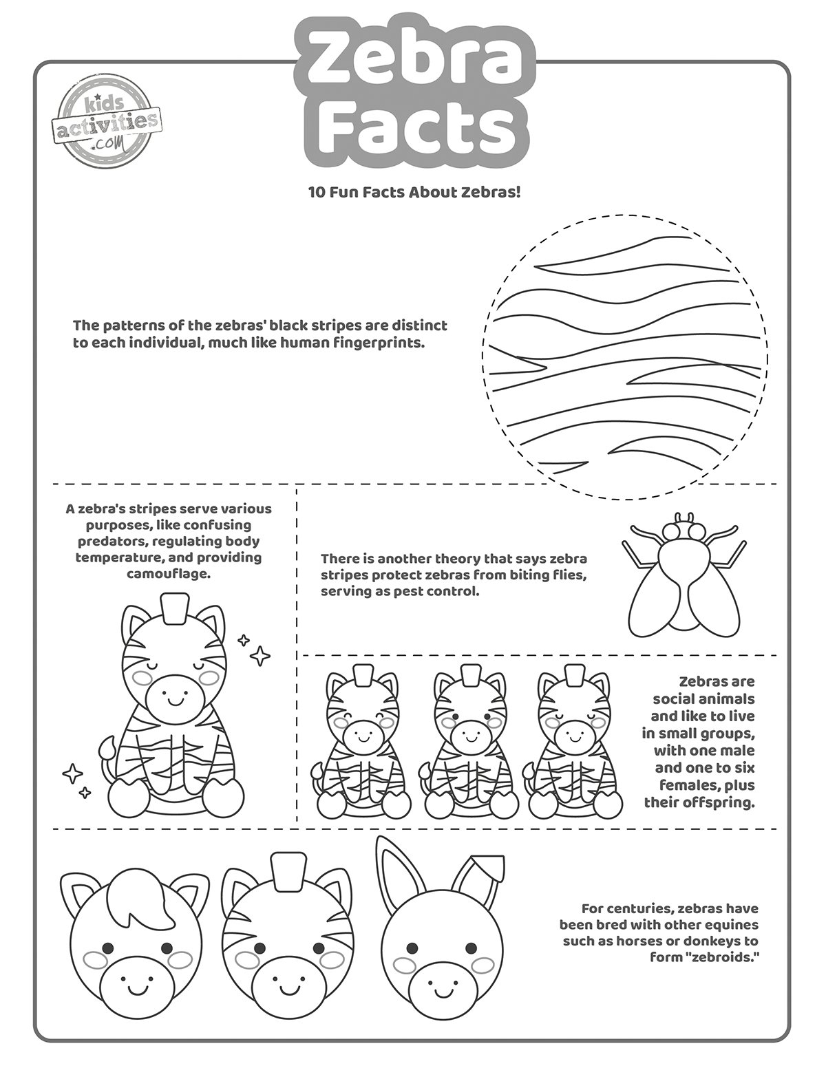 Capture d'écran d'un coloriage en noir et blanc avec des faits sur Zebra