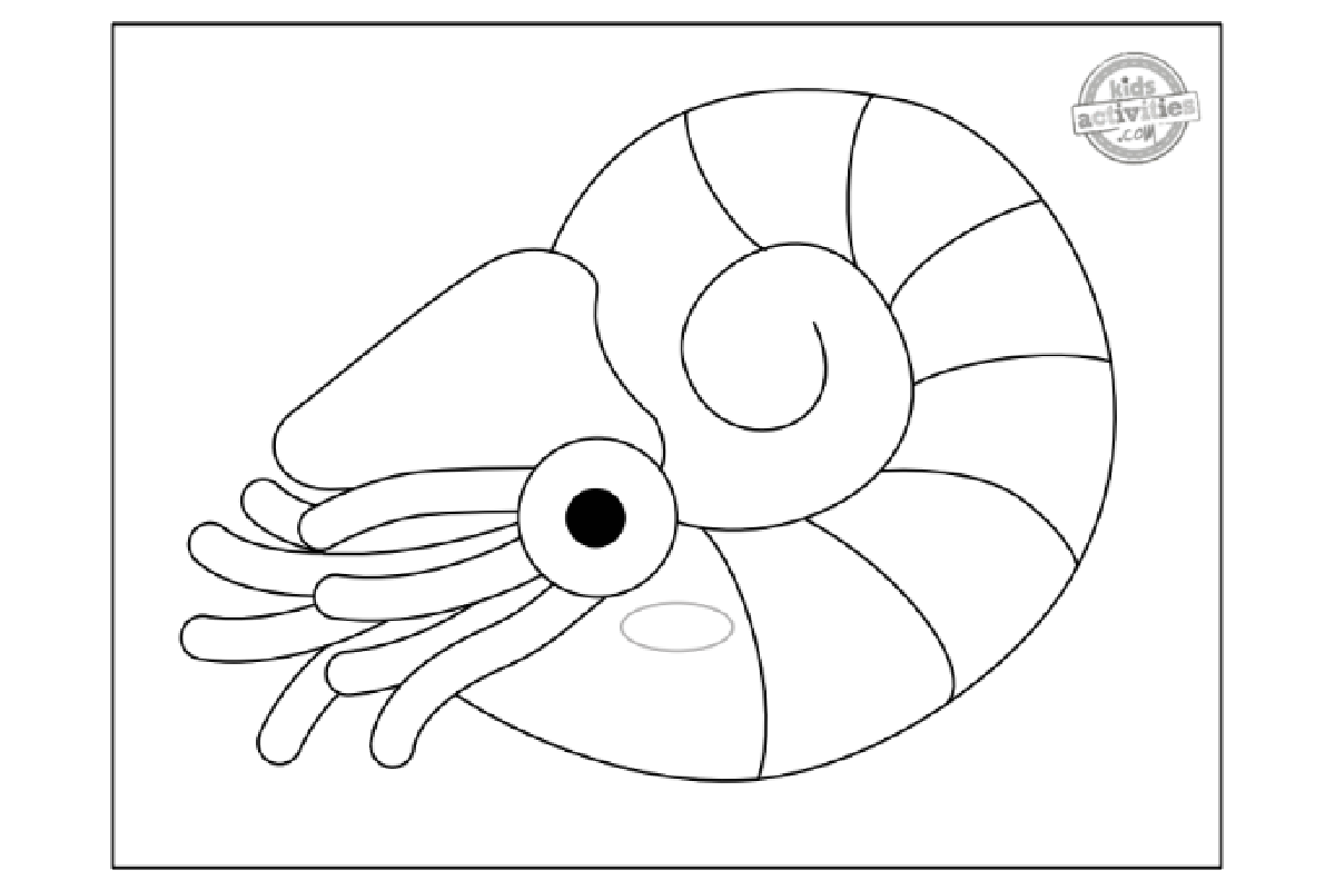 Coloriage Nautilus imprimé pdf feuille de coloriage noir et blanc - blog d'activités pour enfants