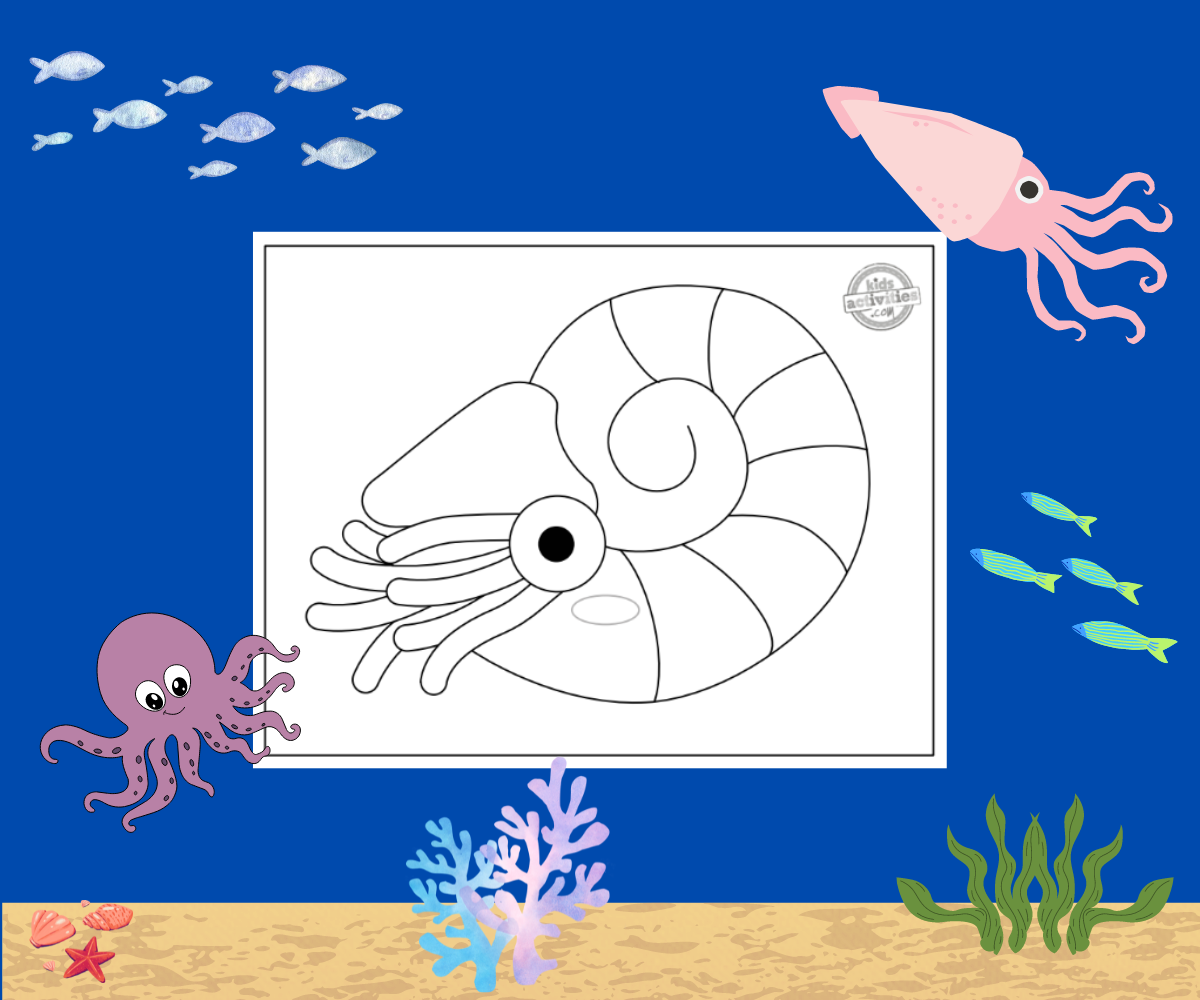 Coloriage Nautilus noir et blanc imprimé pdf sur fond océan avec accessoires océan et animaux - blog d'activités pour enfants