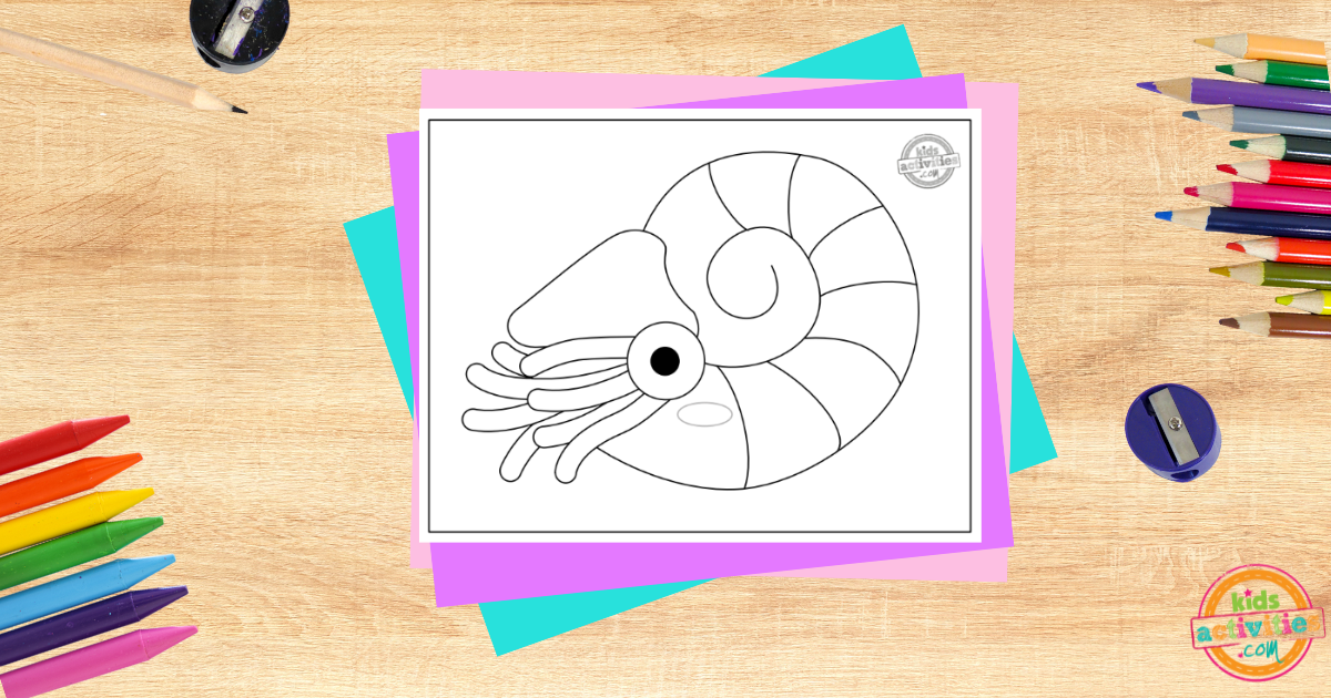 Coloriage Nautilus gratuit à imprimer
