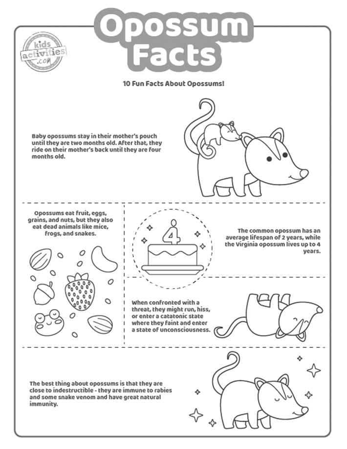 Capture d'écran de la page de coloriage des faits sur l'opossum en noir et blanc.