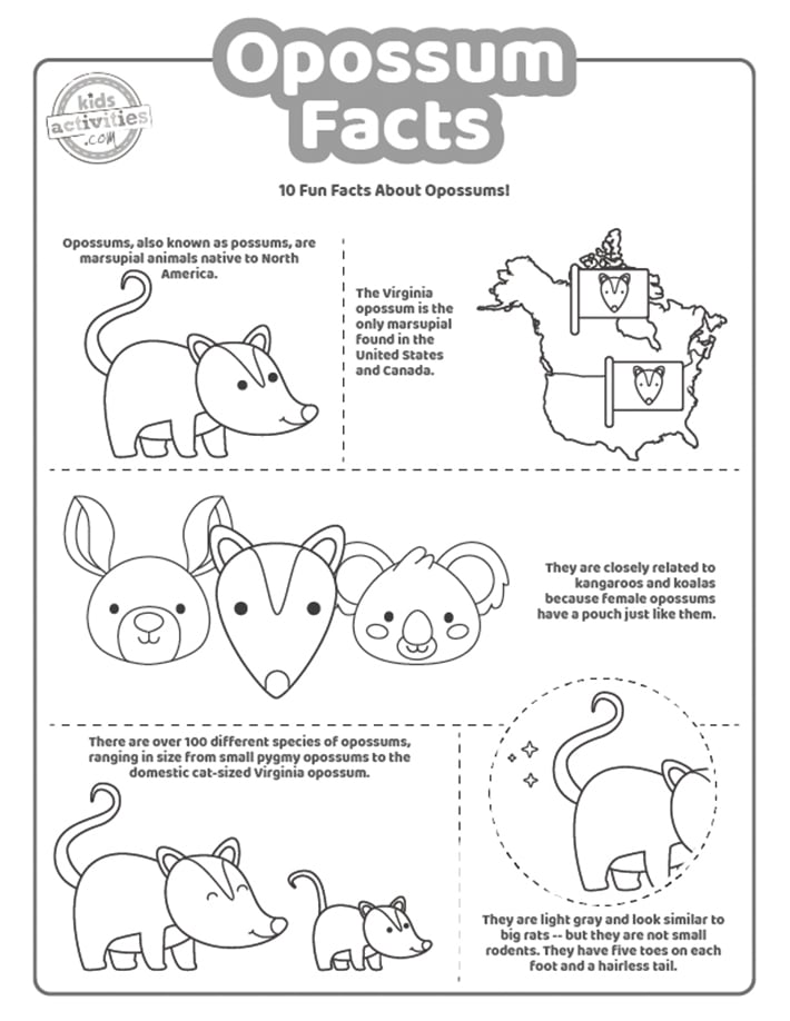 Capture d'écran de la page de coloriage des faits sur l'opossum en noir et blanc.
