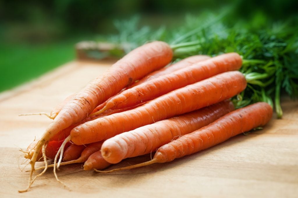 Oubliez les carottes pour le lapin de Pâques Laissez de côté les carottes pour le lapin de Pâques, tout comme vous laisseriez de côté les biscuits pour le Père Noël. Vous pouvez suivre la progression du lapin de Pâques sur Easter Bunny Tracker