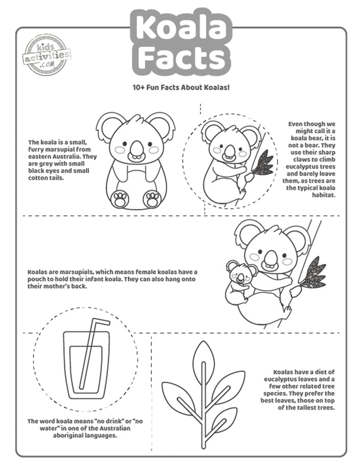 Capture d'écran d'un coloriage en noir et blanc avec des faits sur les koalas.