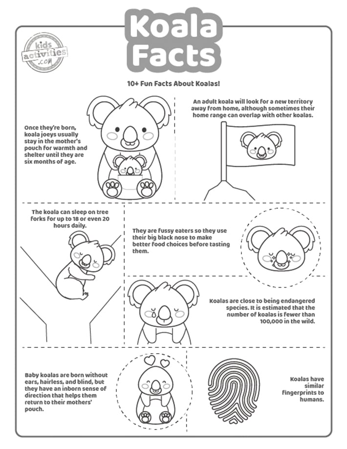 Capture d'écran d'un coloriage en noir et blanc avec des faits sur les koalas.