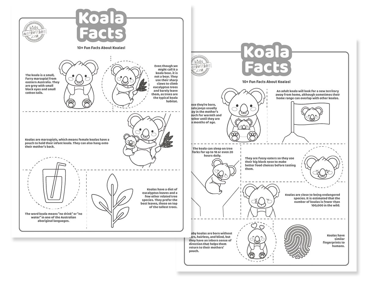 Faits amusants sur les koalas pour les enfants – Imprimez et jouez !