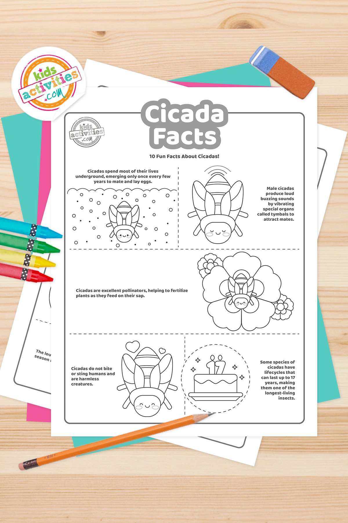 Set of black and white cicada facts coloring sheets with drawings that represent each fact, lying on top of a blue-green sheet with multicolored letters on a light brown background. printed pdf version from Kids activities blog.
