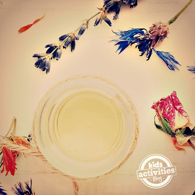 Parfum DIY pour enfants – huile présentée entourée de plantes