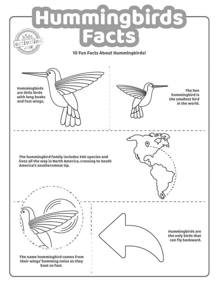 Capture d'écran d'un coloriage en noir et blanc avec des faits sur les colibris.