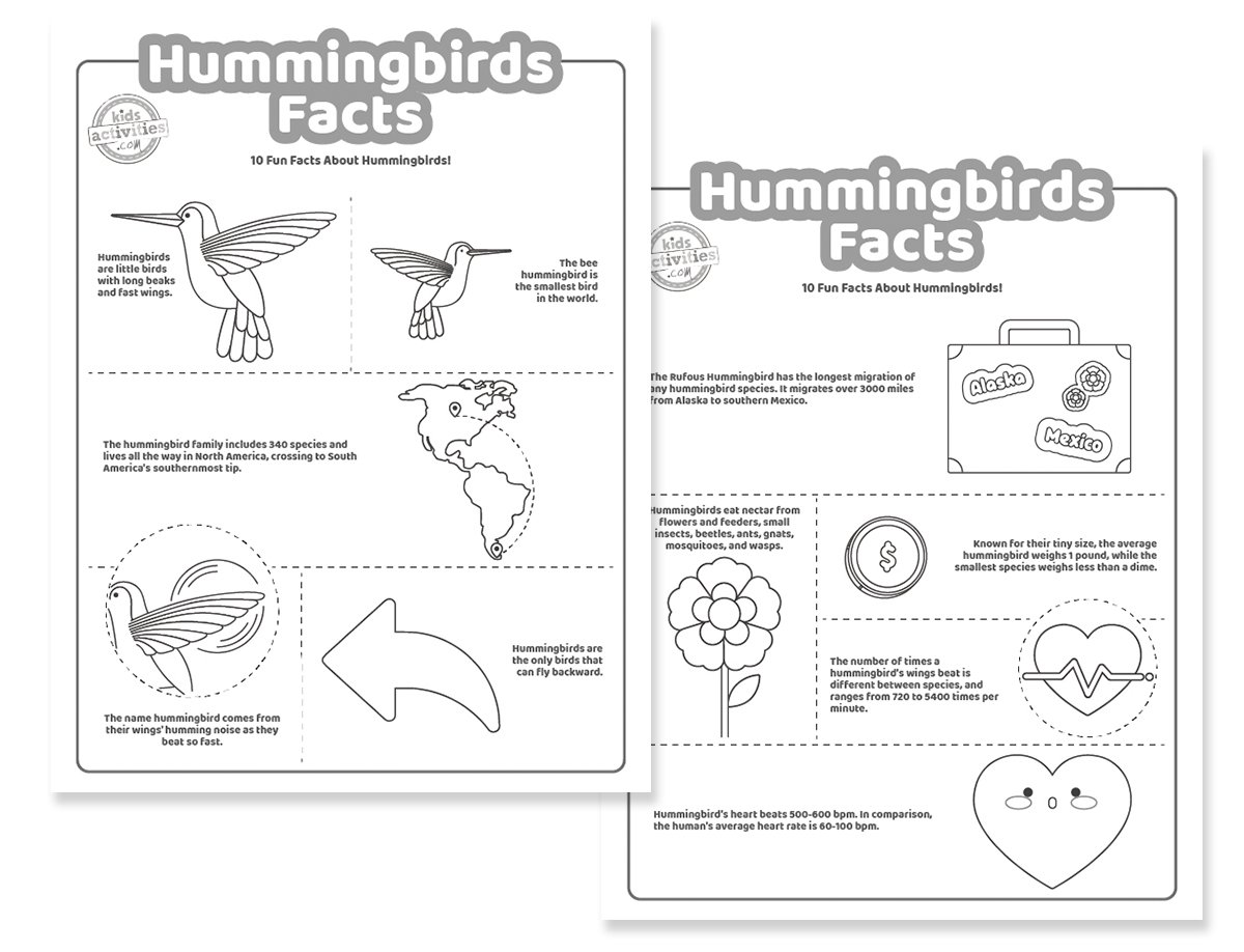 Faits amusants sur les colibris à imprimer pour les enfants