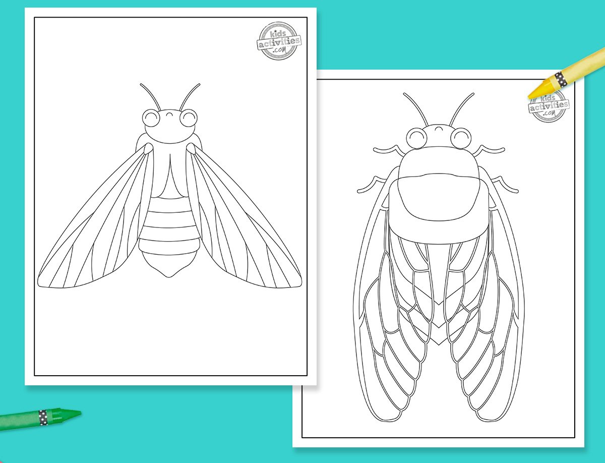 Coloriages de cigales pour les enfants de tous âges
