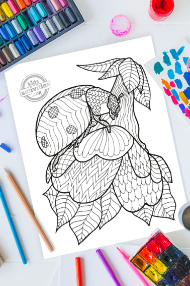 art de motif zentangle de coccinelle complexe prêt à être coloré avec des fournitures d'art mélangées et des couleurs vives